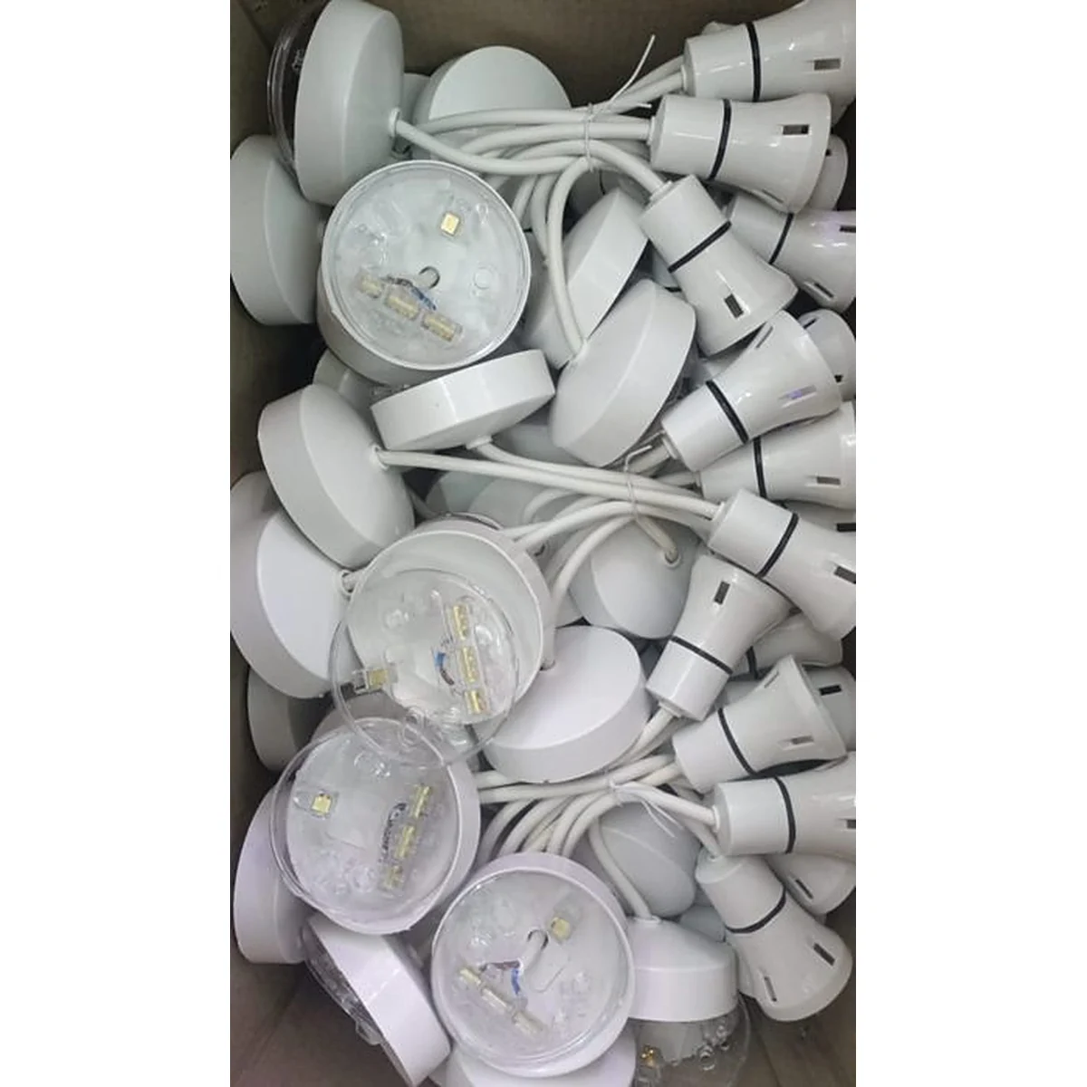 Bulb Rose (Ceiling Rose with Bulb Holder)